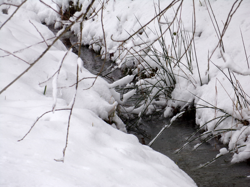 Bild Winterstimmung