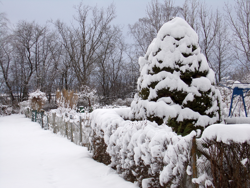 Bild Winterstimmung
