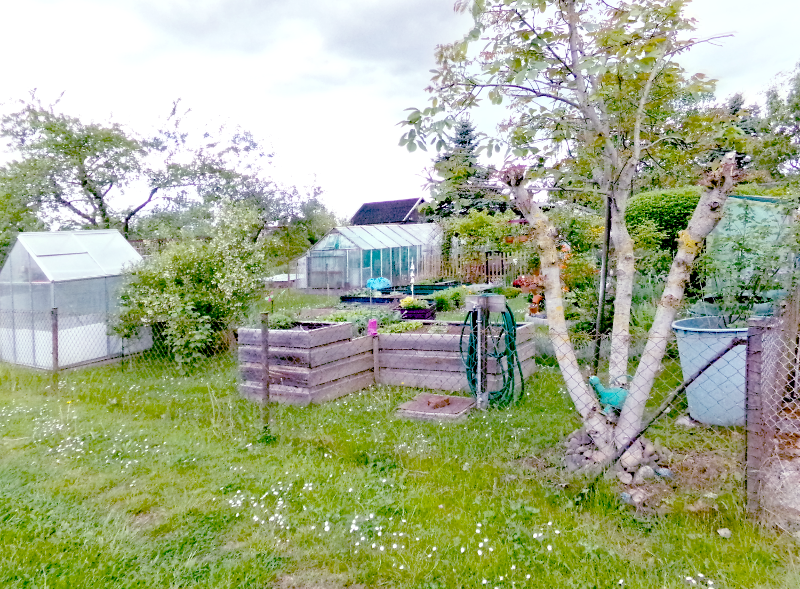 Bild Gewächshaus und Hochbeet