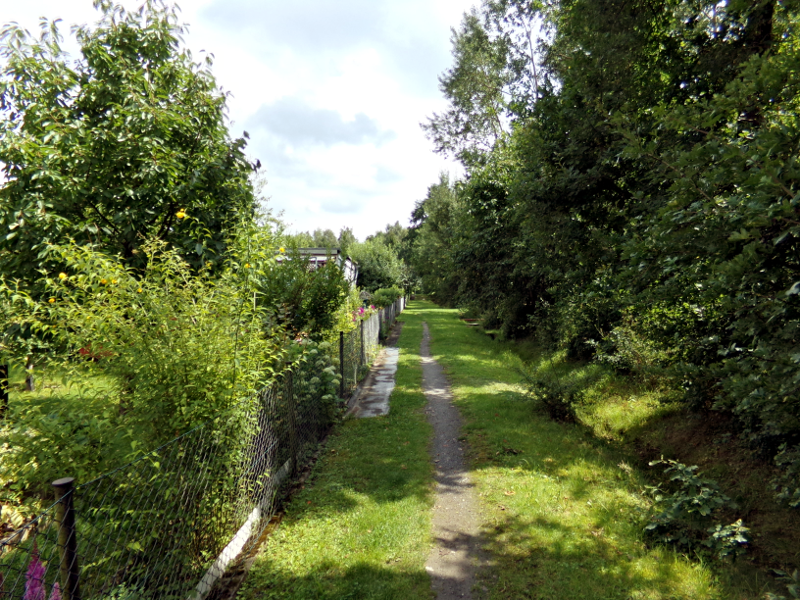 Bild Weg