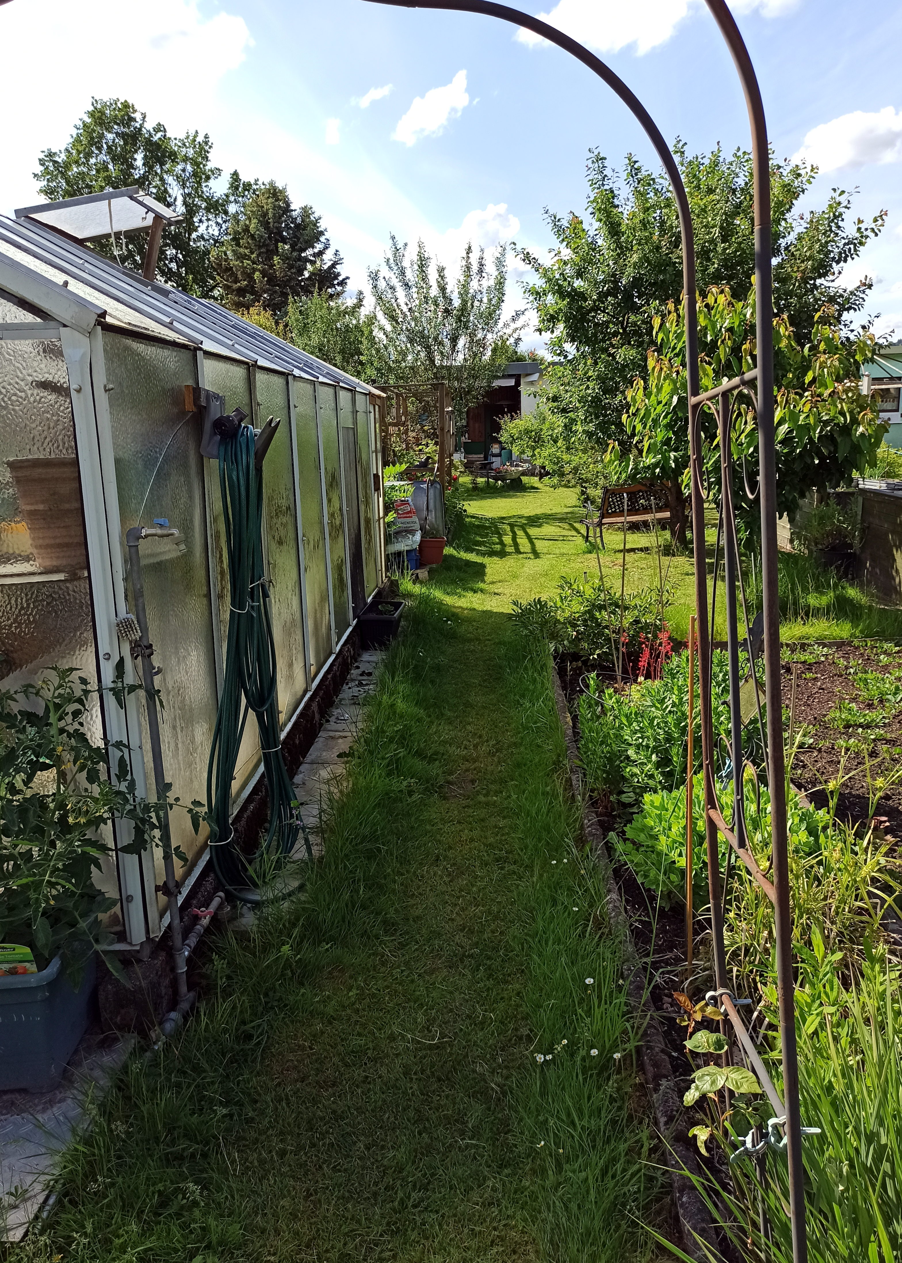 Bild eines Gartens